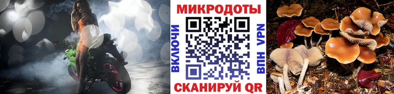 Галлюциногенные грибы Cubensis  Зарайск 