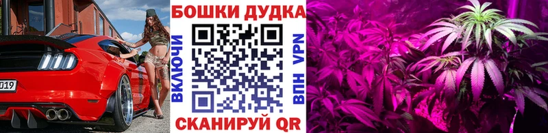 наркошоп Зарайск Канабис планчик